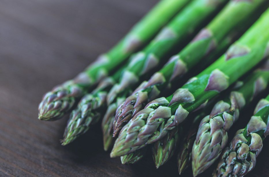 Kuşkonmaz Yetiştiriciliği Yaparak Para Kazanmak